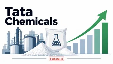 Tata Chemicals: लगा 20% का अपर सर्किट, US डील और Tata Sons लिस्टिंग से आयी तेजी