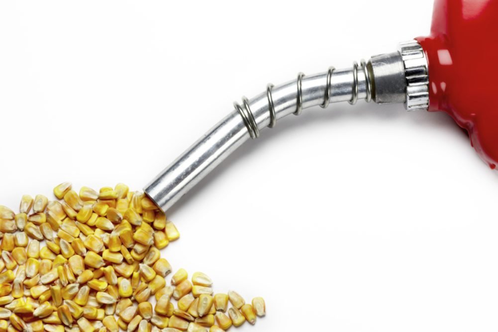 India Targets 20% Ethanol Blending by 2025-26, Pushes for Alternative Feedstocks