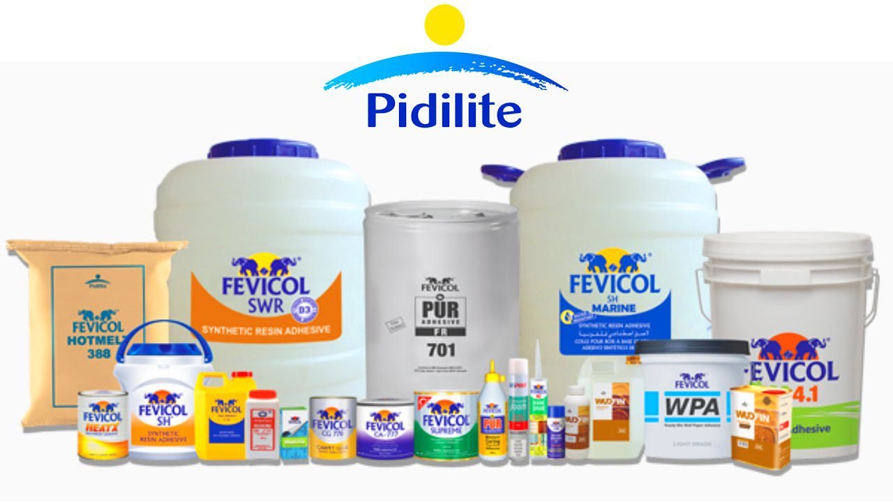 Pidilite Industries Q1 Profit Rises 20.6% to Rs 571.27 Cr