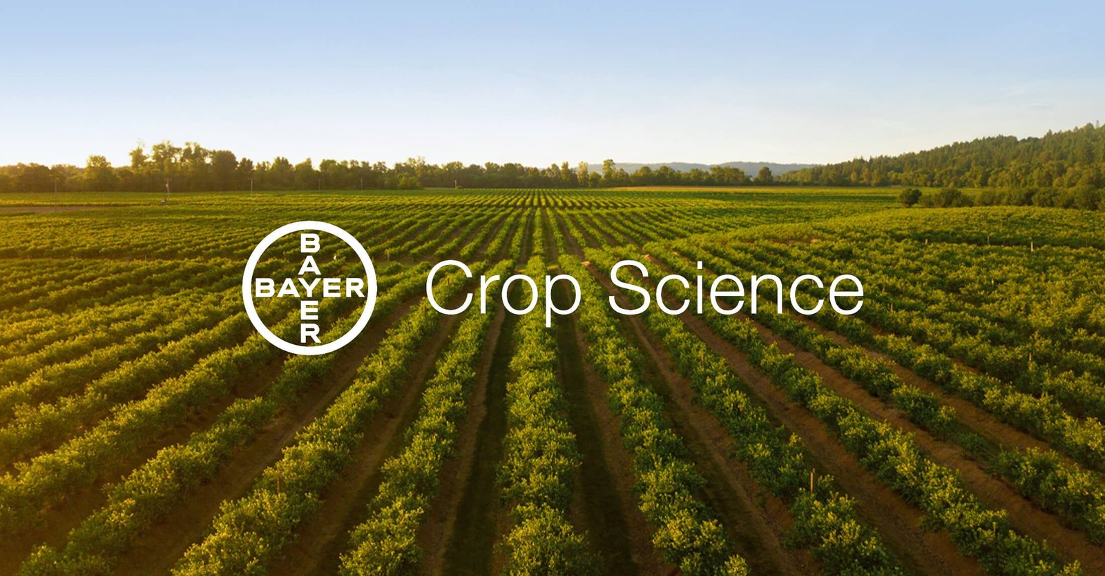 Bayer CropScience Reports 23% Drop in Q1 Net Profit