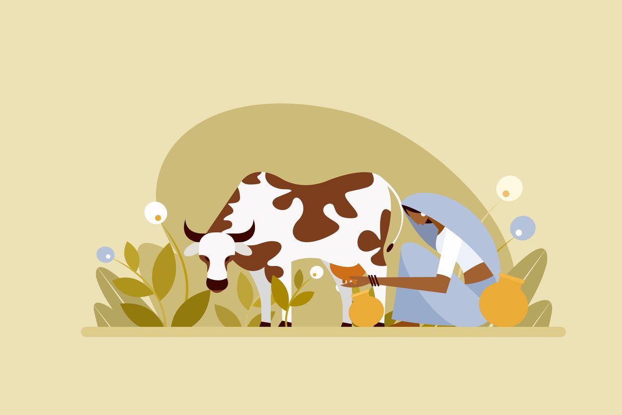 Dairy Industry Revenue to Grow 13-14% in FY25: Report