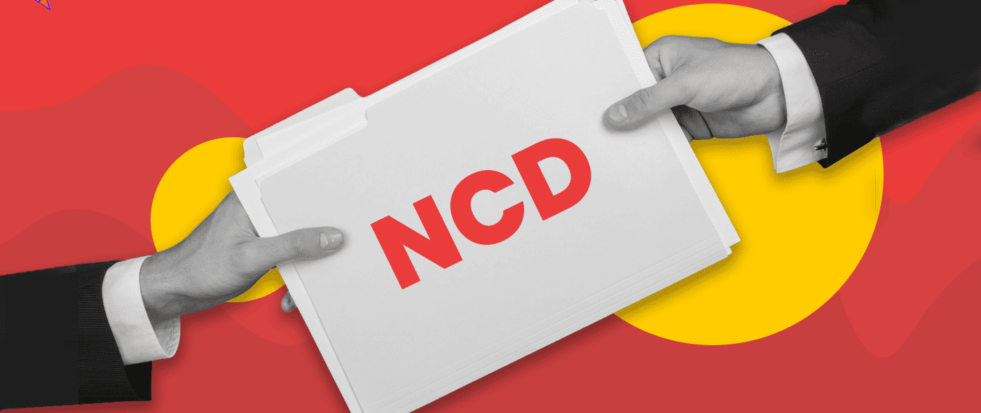 What Are Non-Convertible Debentures (NCD)?