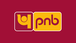 PNB: Raises Rs 5,000 Cr via QIP, Boosting Capital Strength