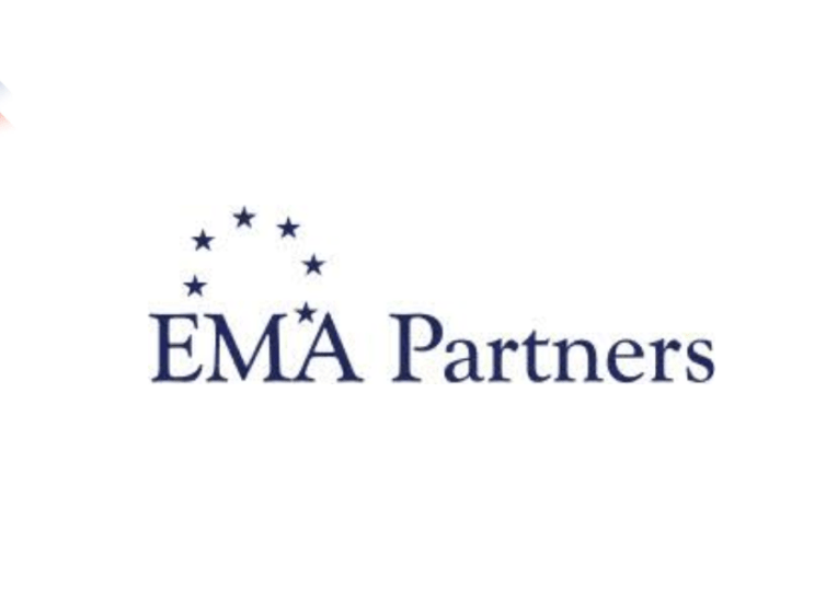 EMA Partners India IPO: Opens Jan 17, Price Band 117-124
